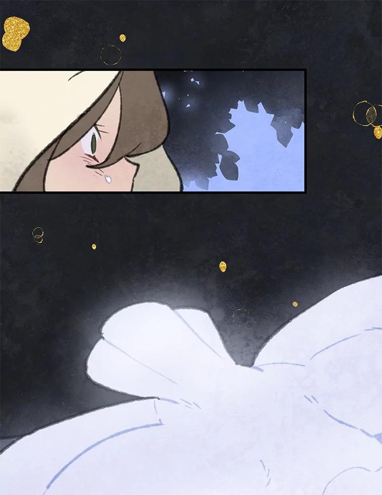 《在流星坠落之处等待》84.银色猫头鹰（完） 第57页