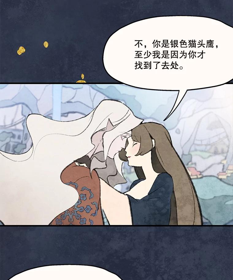 《在流星坠落之处等待》84.银色猫头鹰（完） 第63页