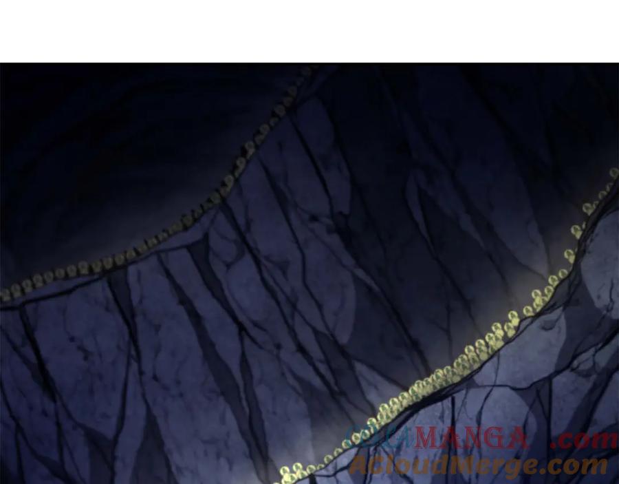 《重生后成为FFF级巫医》第54话 叔侄同心 其利断金 第261页