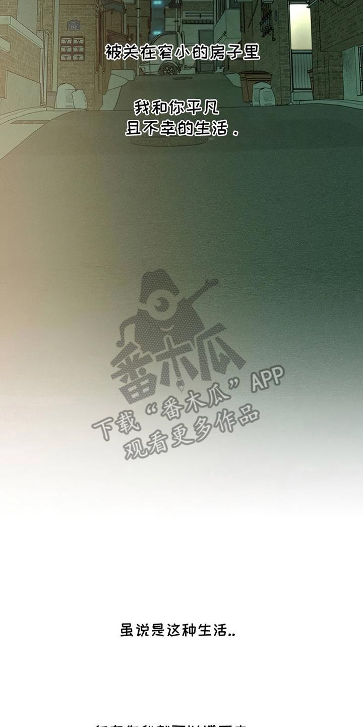 枯萎的花伤心的泪 第12章：新奇体验 第8页