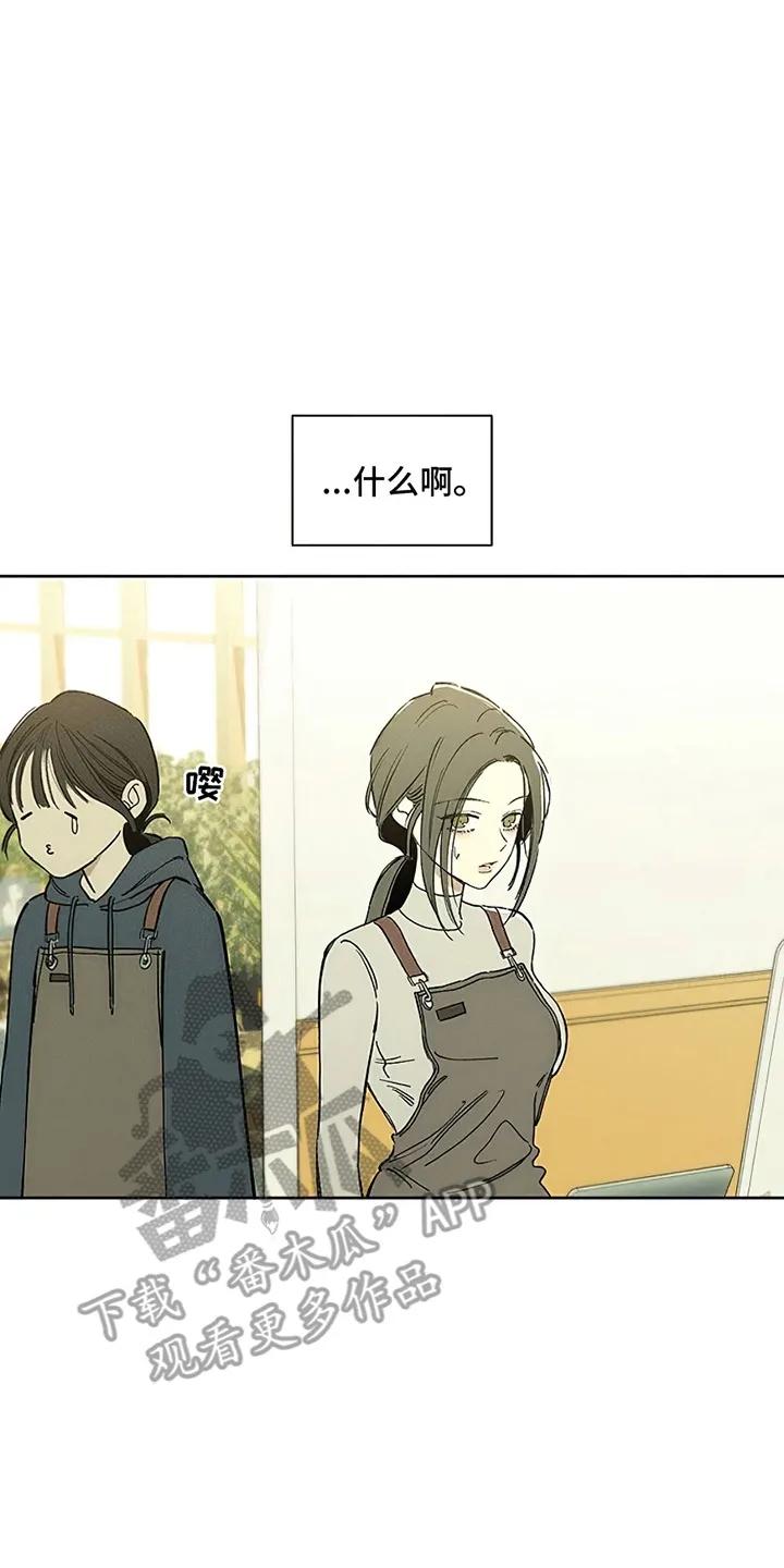 枯萎的花伤心的泪 第4章：玫瑰 第14页