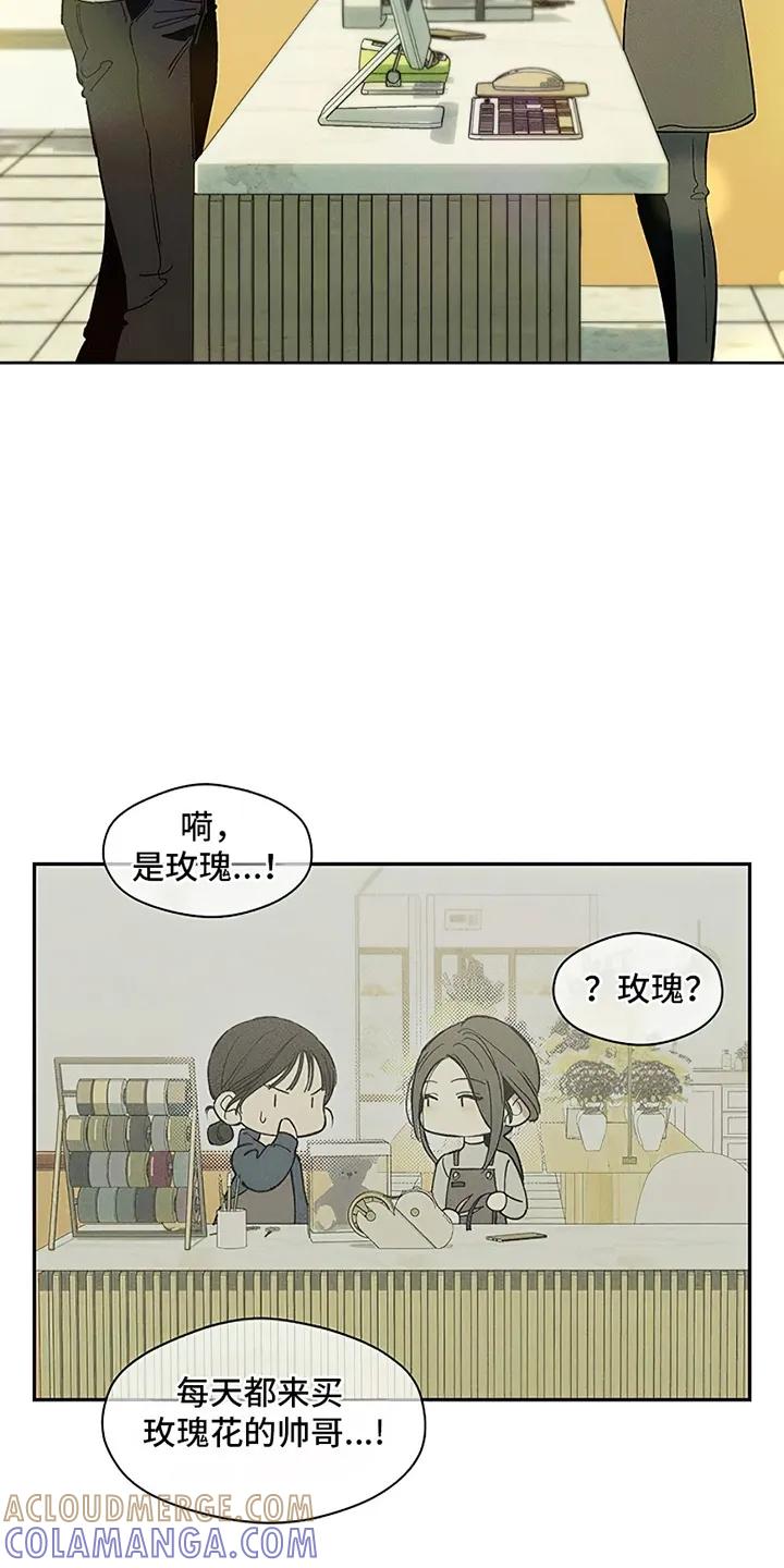 枯萎的花伤心的泪 第4章：玫瑰 第13页