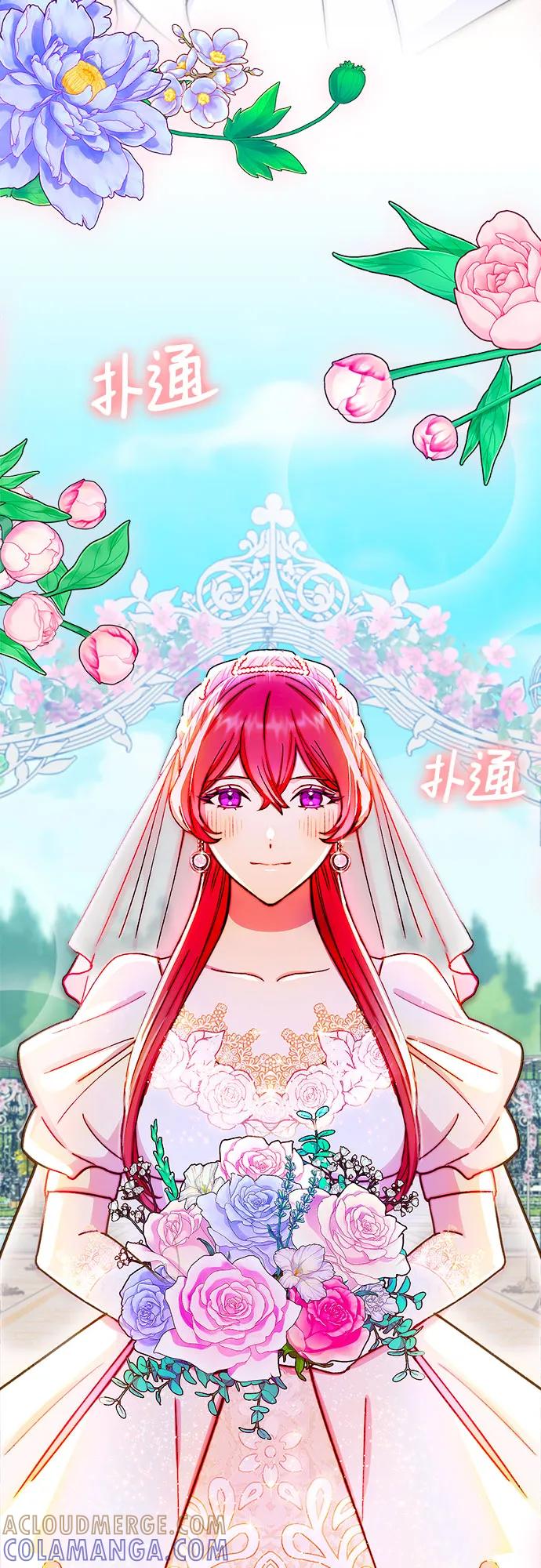 《冬青树下的誓约》第39话 第37页