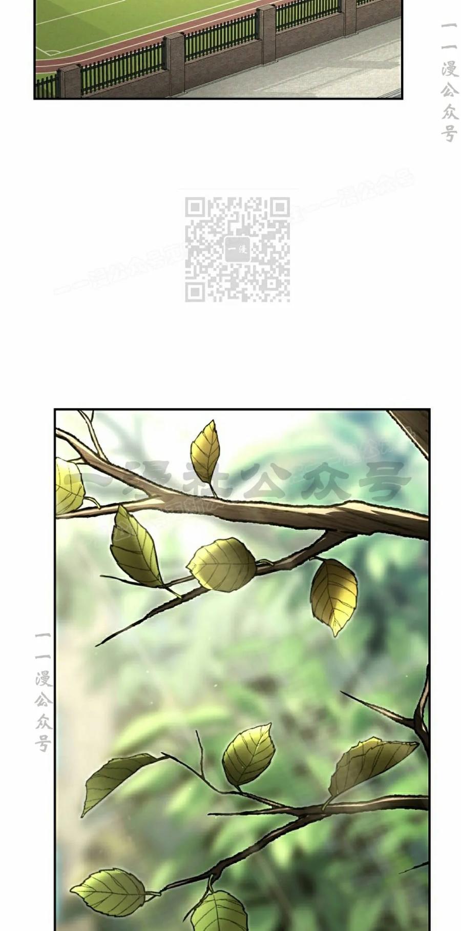 《学院的剑术教师》第33集 第6页