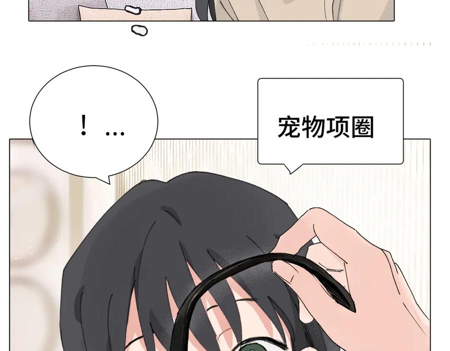 《关于被班上绿茶威胁那件事》四十八话 耐心与冷静 第35页