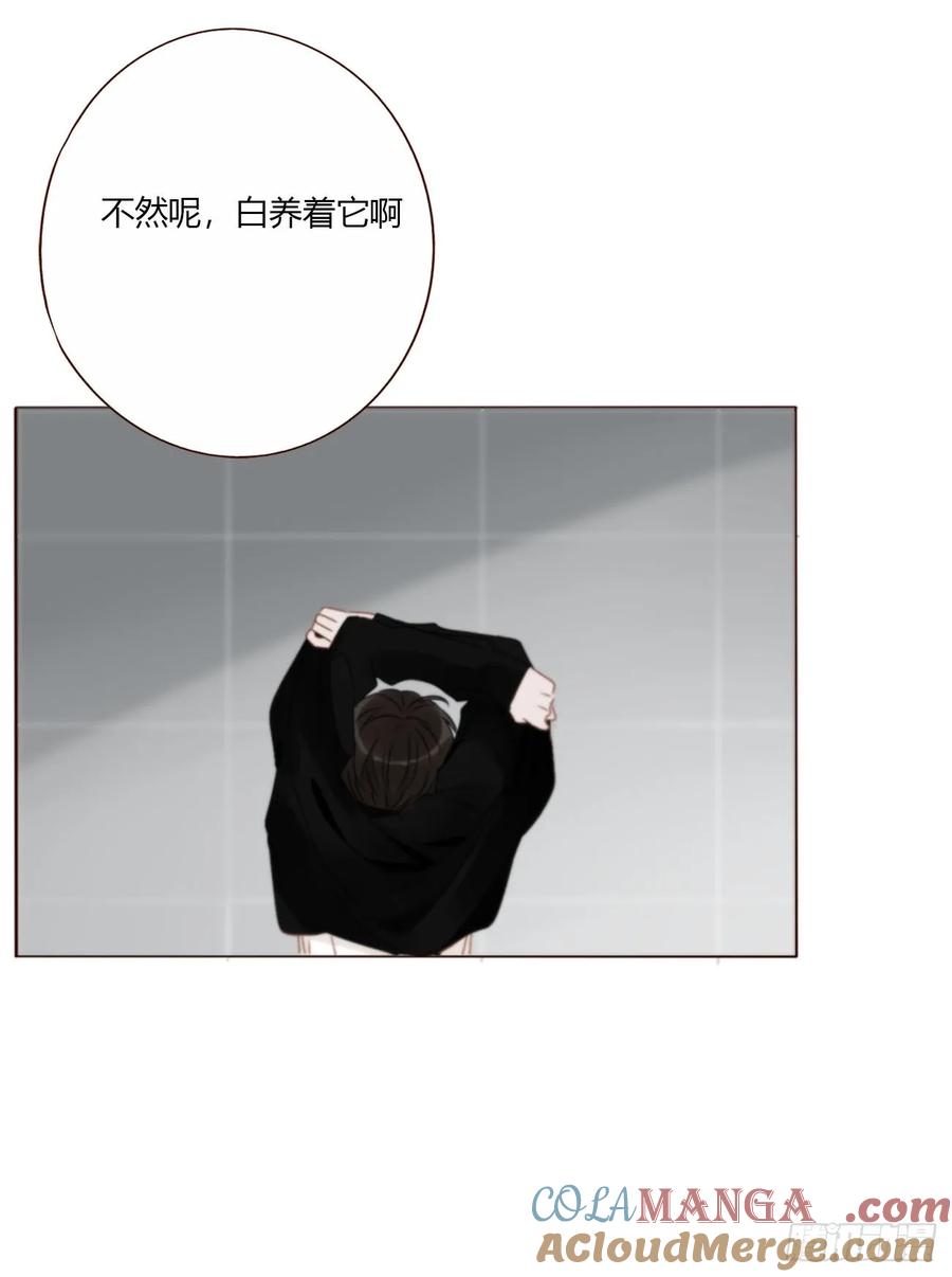 拥然入怀 一八六章 反杀 第43页