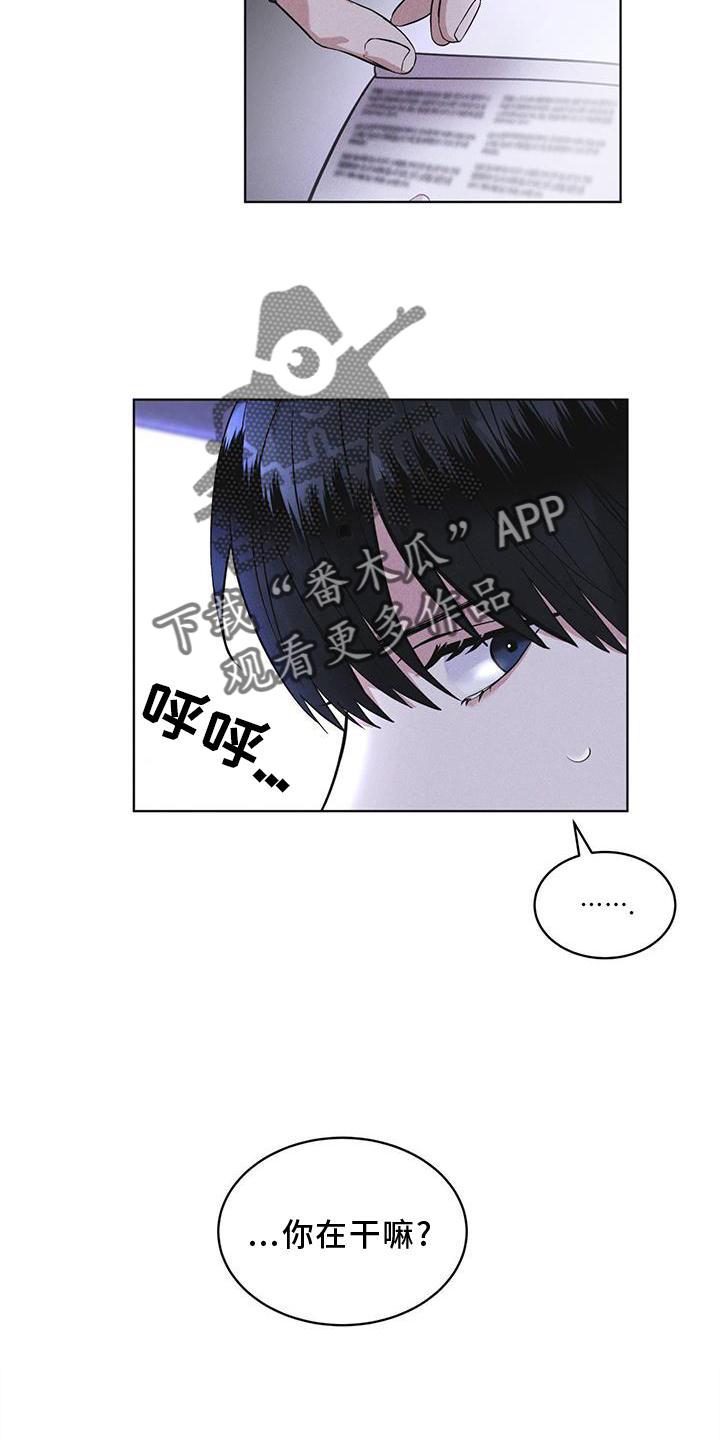 《彩虹城》第25章：不信任 第12页