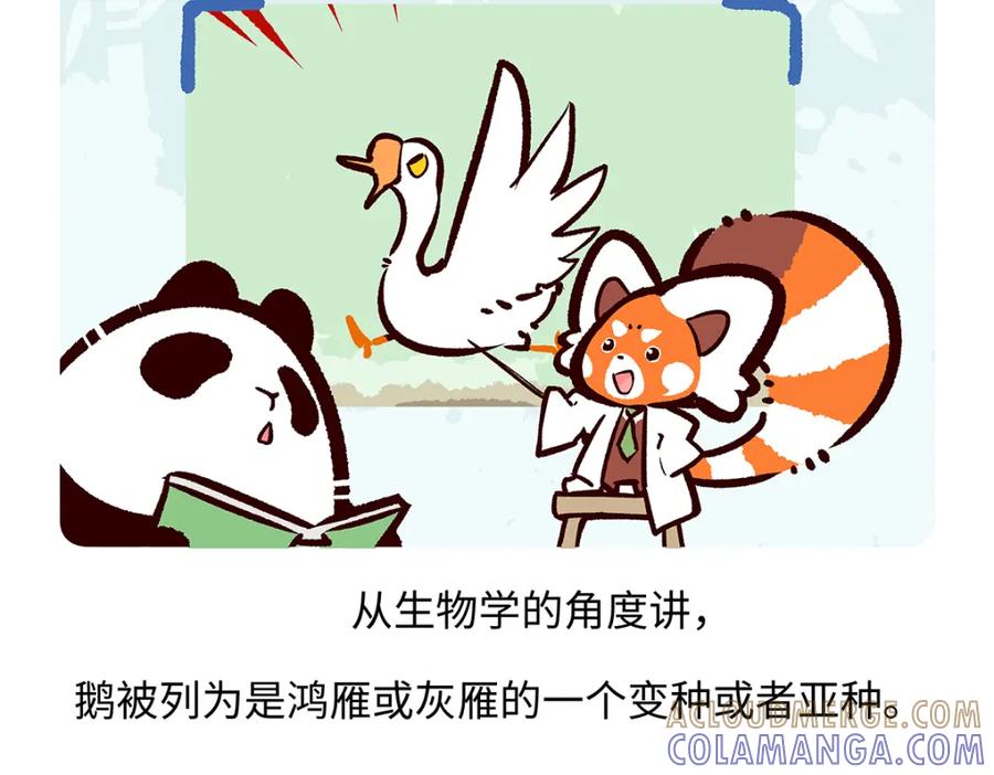 《胖达x胖达》第261话 第21页
