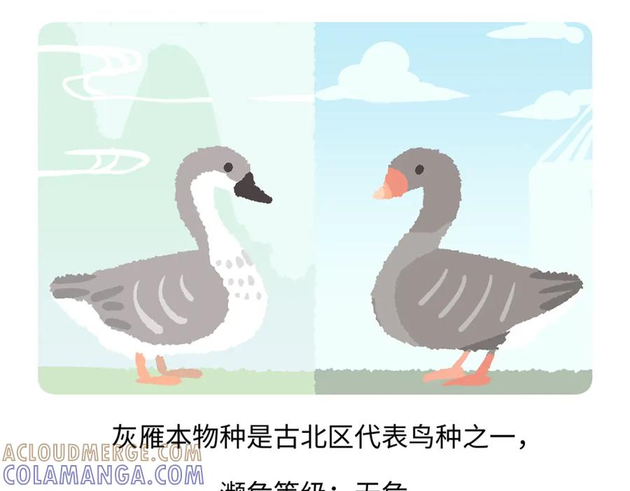 《胖达x胖达》第261话 第23页