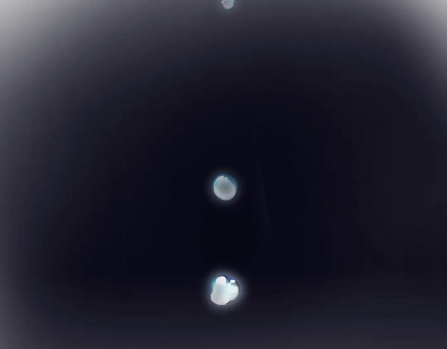 明月烑烑 第53话 被迫告白？ 第88页