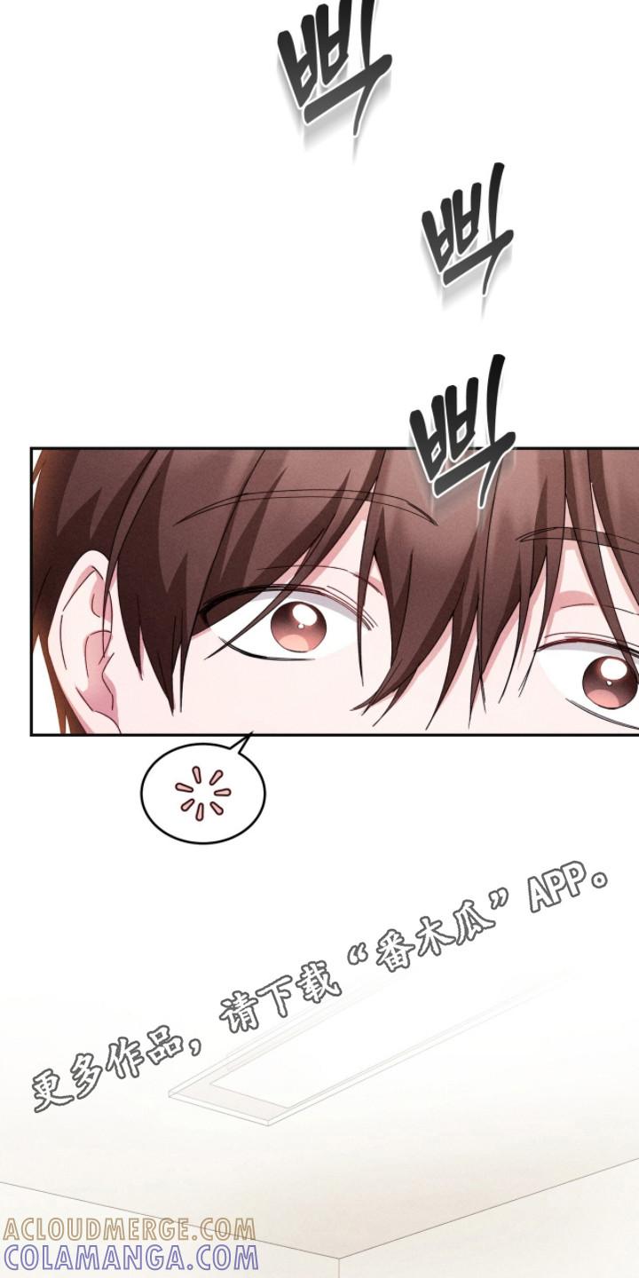 《危情三人戏》第19章：考虑 第11页