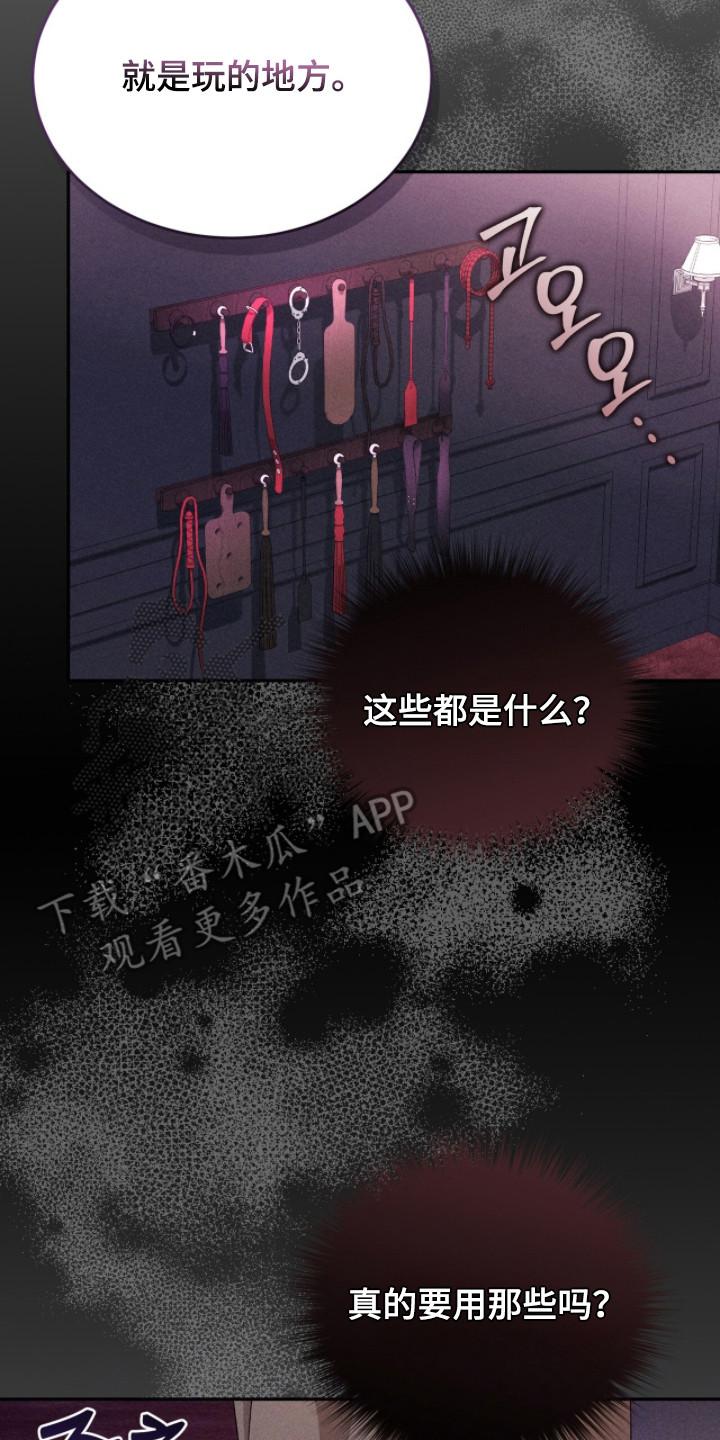 《危情三人戏》第21章：道具 第2页