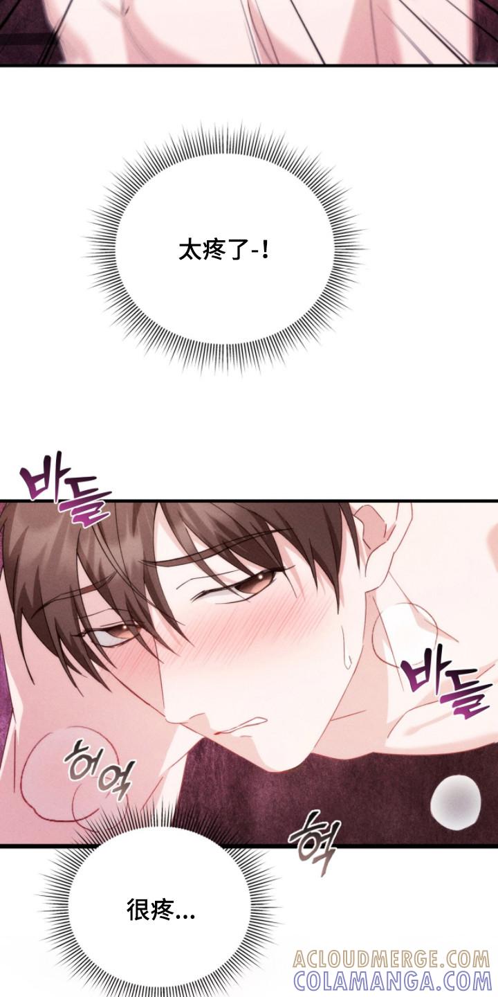 《危情三人戏》第26章：命令 第15页