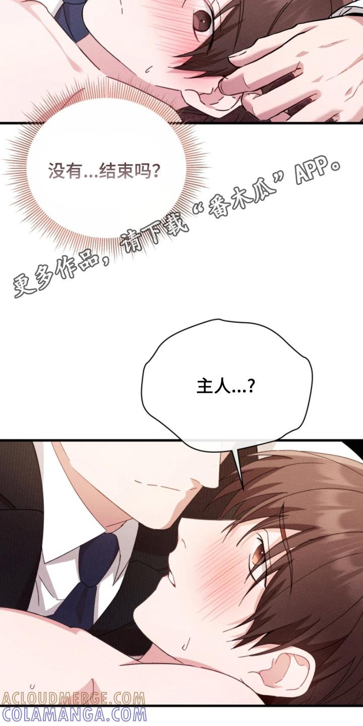 《危情三人戏》第27章：很温柔 第11页