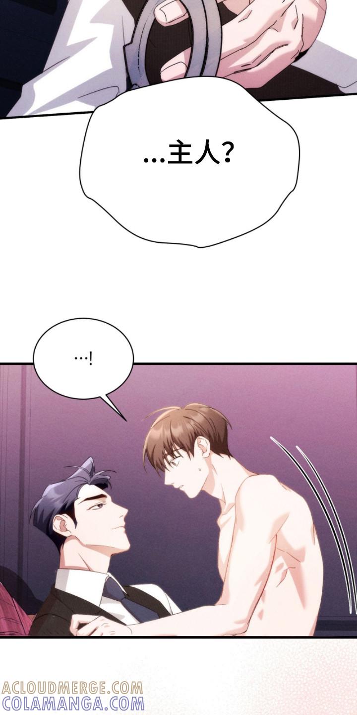 《危情三人戏》第27章：很温柔 第7页