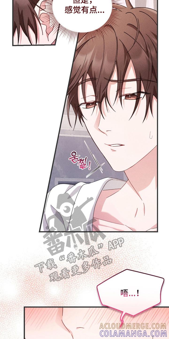 《危情三人戏》第31章：吹头发 第17页