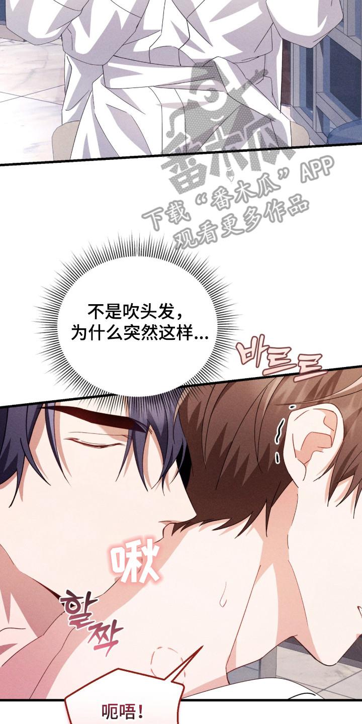 《危情三人戏》第32章：牵着鼻子走 第2页