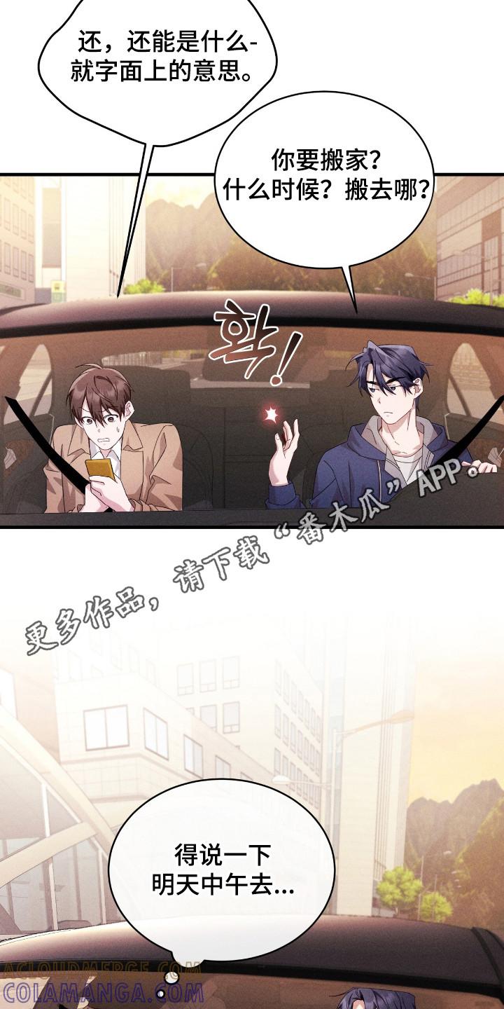 《危情三人戏》第39章：好奇 第11页