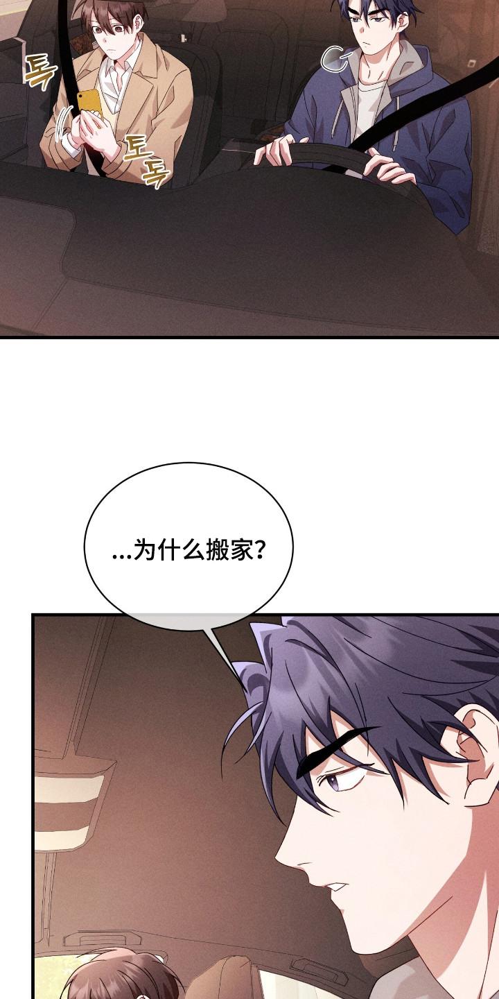 《危情三人戏》第39章：好奇 第12页