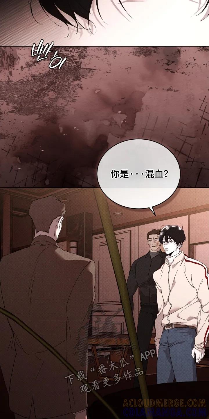 《物种的进化》第35章：住手 第21页