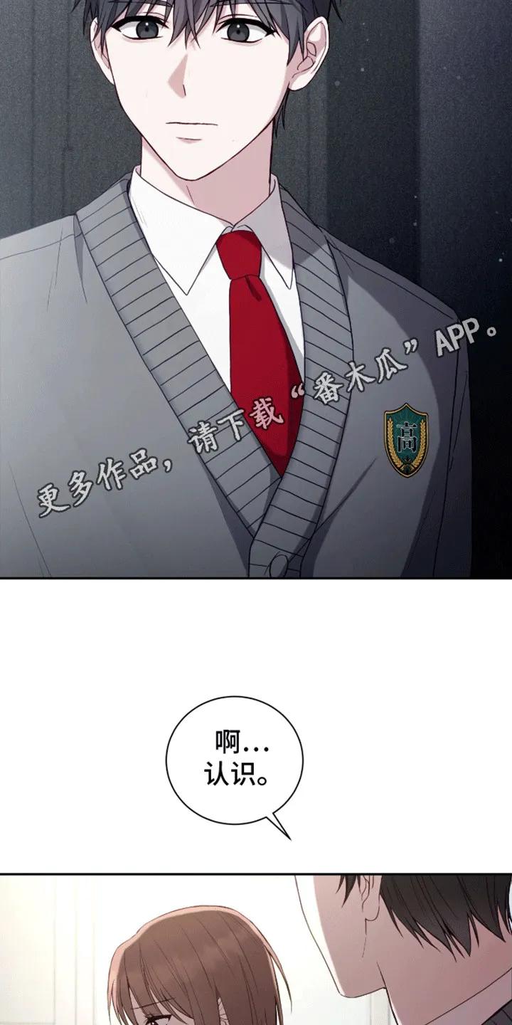 《大哥变身高中生》第13章：是你推的 第4页