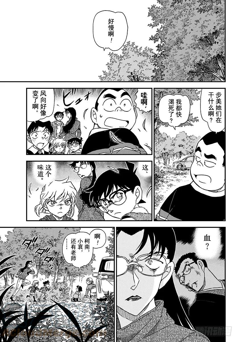 名侦探柯南 1032 FILE.1032 采野菜 第11页