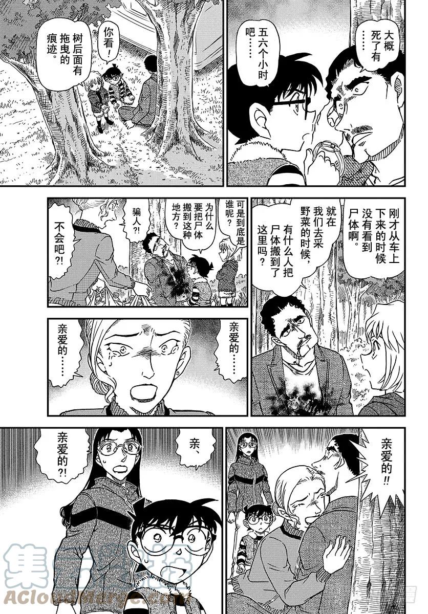 名侦探柯南 1032 FILE.1032 采野菜 第13页
