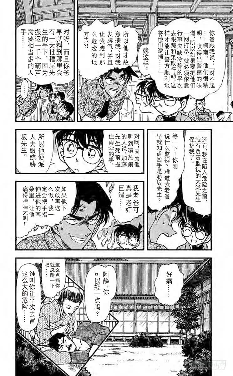 名侦探柯南 321 悲哀的虎之卷 第17页
