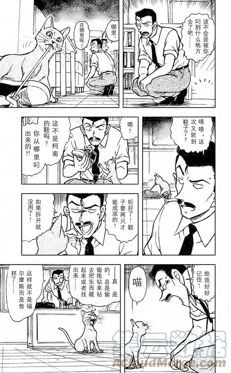 名侦探柯南 528 俄罗斯蓝猫 第13页
