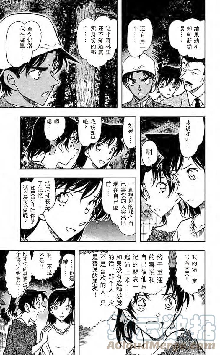名侦探柯南 648 工藤新一杀人 第13页