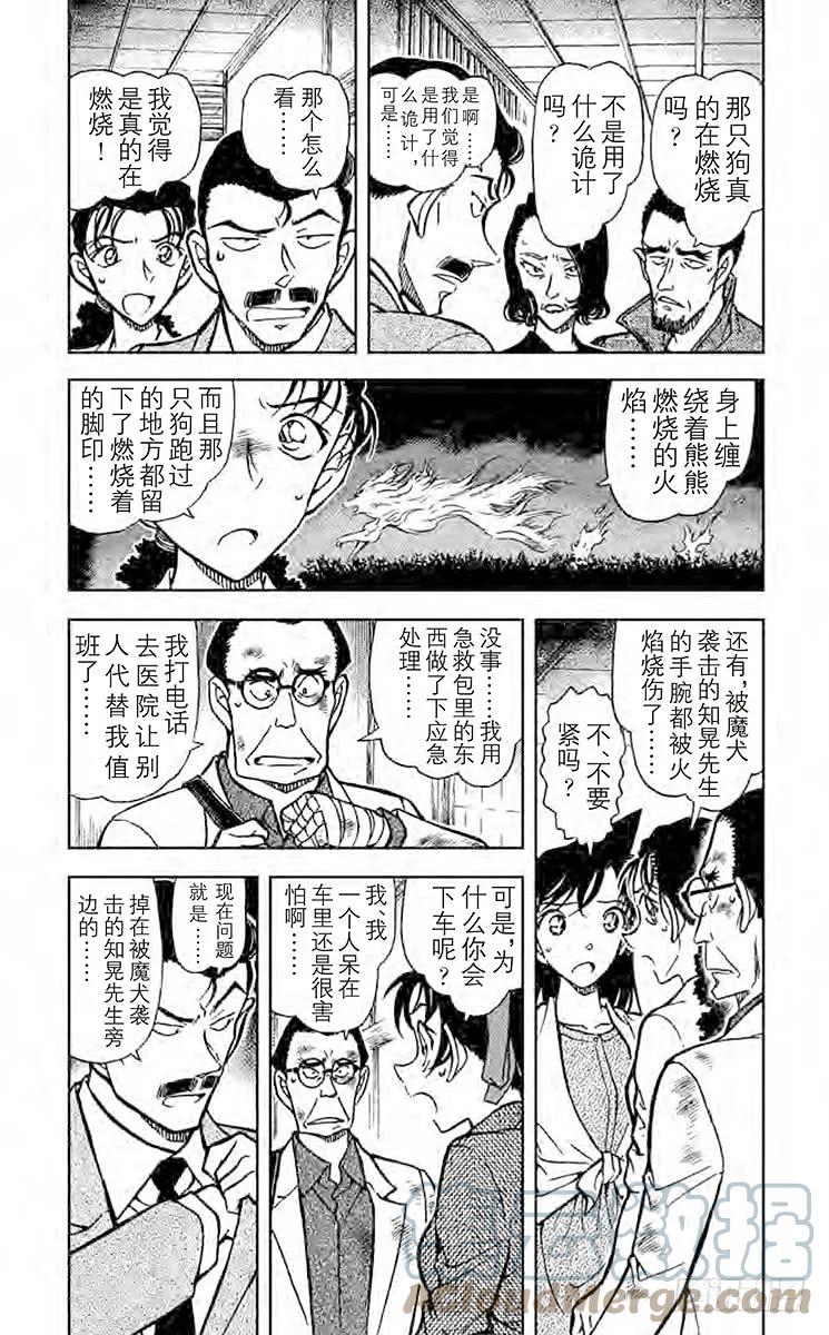 名侦探柯南 739 公主 第2页
