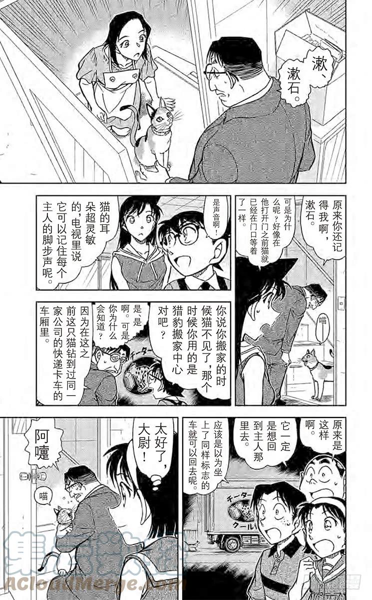 名侦探柯南 866 扮猫吃老虎 第13页