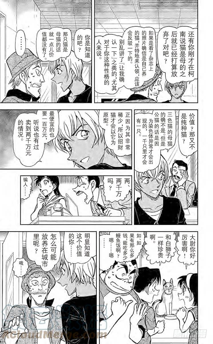 名侦探柯南 866 扮猫吃老虎 第11页