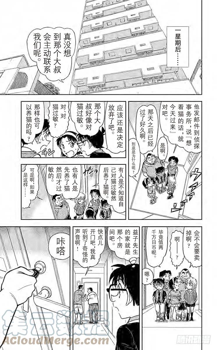 名侦探柯南 866 扮猫吃老虎 第15页