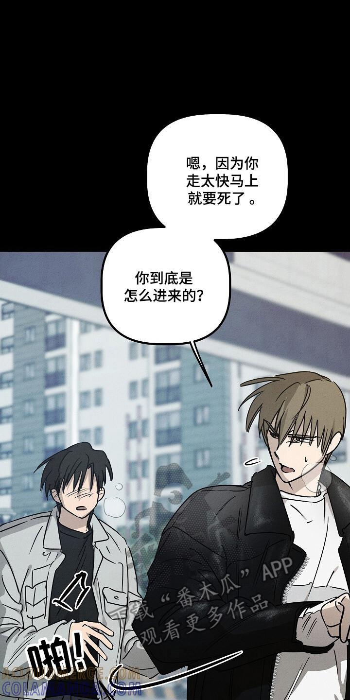 《重生在五年之后》第30章：脱离部队 第15页