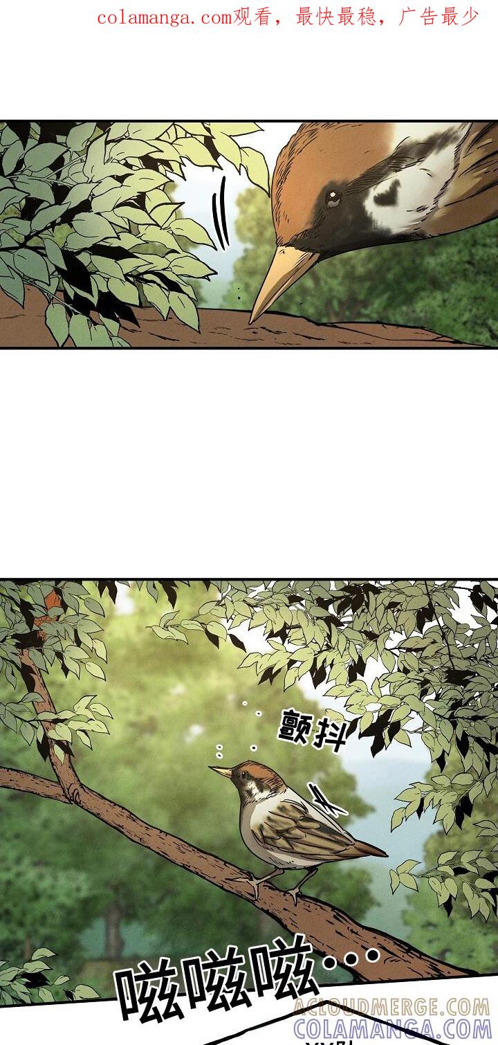 《重生在五年之后》第33章：安全归队 第1页