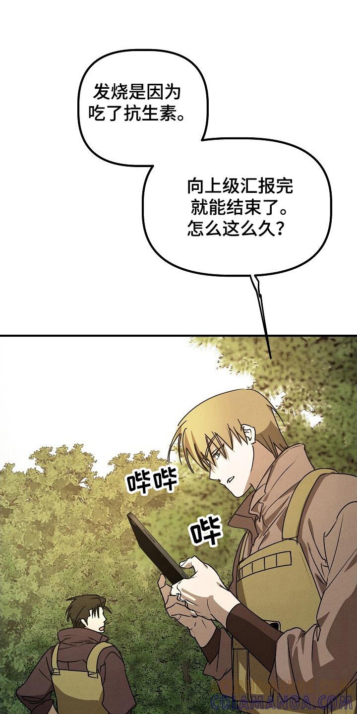 《重生在五年之后》第33章：安全归队 第5页