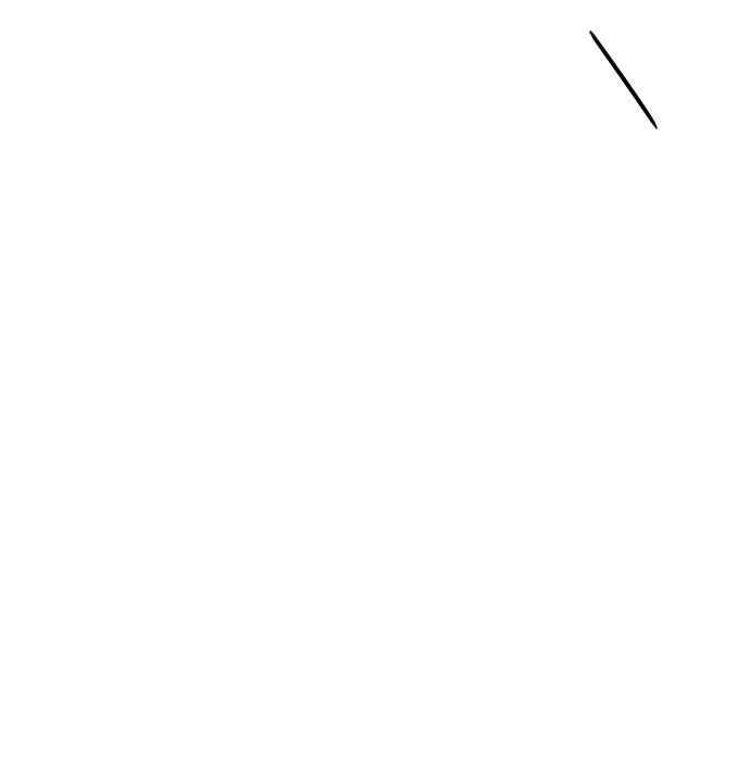 80.jpg