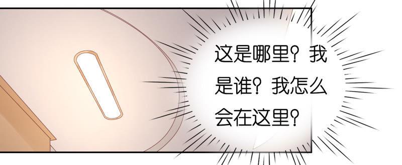《蜜桃小情人之烈爱知夏》失忆 第48页