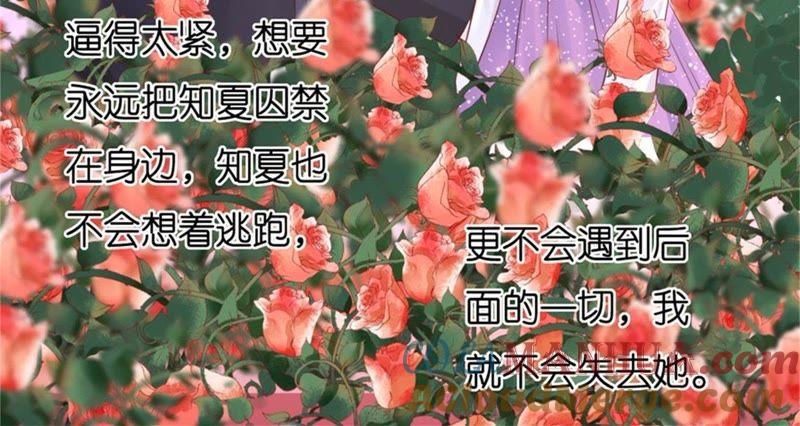 《蜜桃小情人之烈爱知夏》回忆 第70页