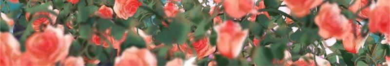 《蜜桃小情人之烈爱知夏》争执 第42页