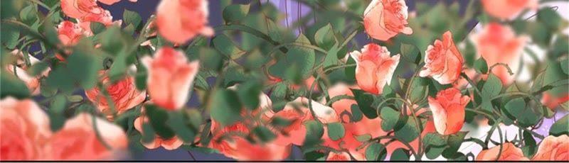 《蜜桃小情人之烈爱知夏》争执 第65页