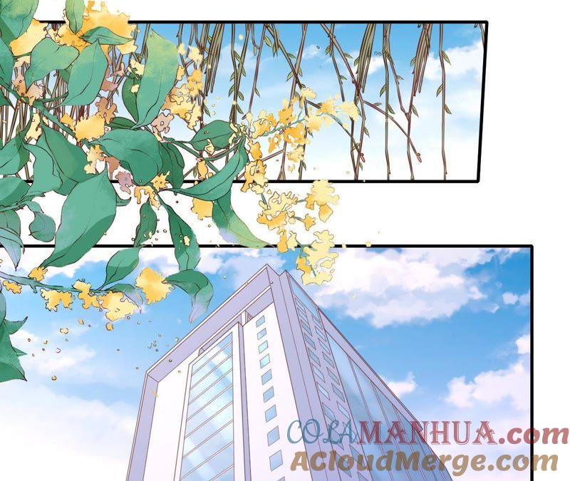 《蜜桃小情人之烈爱知夏》爱的奇迹 第34页