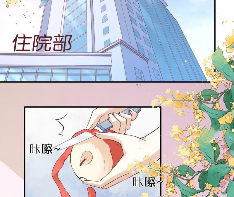 《蜜桃小情人之烈爱知夏》爱的奇迹 第51页