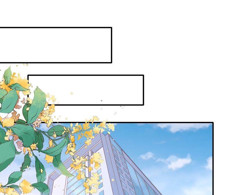 《蜜桃小情人之烈爱知夏》爱的奇迹 第50页