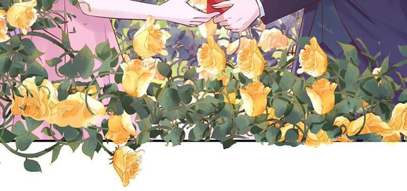 《蜜桃小情人之烈爱知夏》从未怨过 第17页