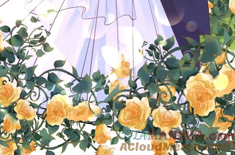 《蜜桃小情人之烈爱知夏》嫁给我 第25页