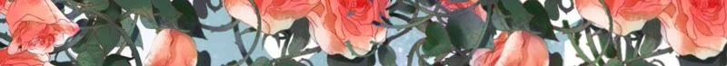 《蜜桃小情人之烈爱知夏》幸福的新娘 第33页