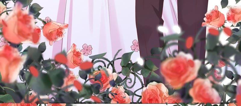 《蜜桃小情人之烈爱知夏》幸福的新娘 第36页