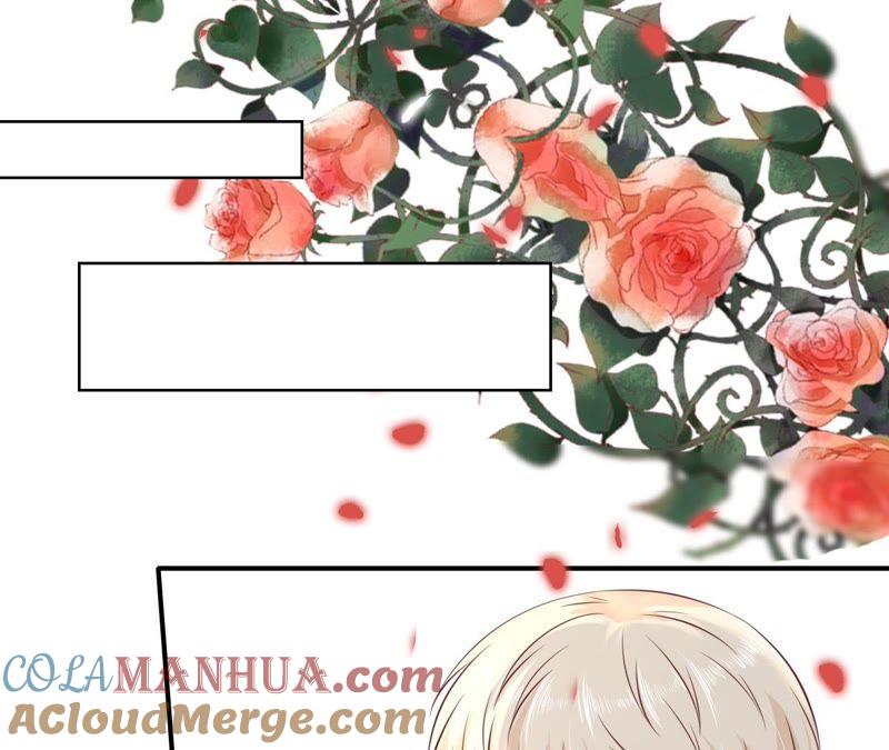 《蜜桃小情人之烈爱知夏》幸福的新娘 第31页